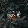 salma's profile picture