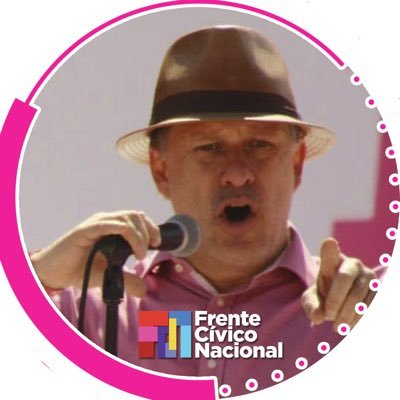 Fernando Belaunzarán's profile picture