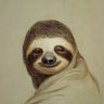 uasi4 profil fotoğrafı