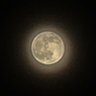 たうぃちー's profile picture