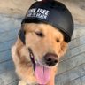 Kiki's profile picture