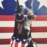 Фото профиля JustaAmerican#MAGA