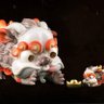 大貔貅啊啊啊🇺🇦🇬🇷's profile picture