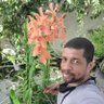 Tadeu gomes 的头像