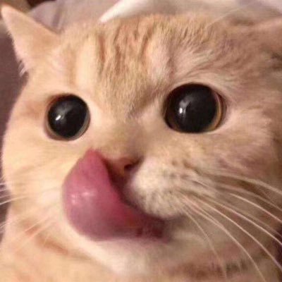 jingpinziyuan66's profile picture