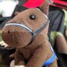 Profilbild von ゆうき🏇🏎️🐍🐉🐬