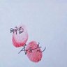 悟 的头像