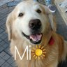 Alicia PIPI's profile picture