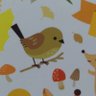 ecomaru's profile picture
