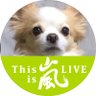 なつ 的头像