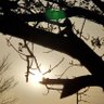 氞倢âðªœ's profile picture