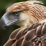 John Johanes profil fotoğrafı