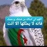 Hamza abbes Benelkadi 的头像