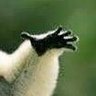 Funda's profile picture