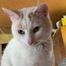 Jonesy 🐀 profil fotoğrafı