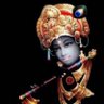 Madhusudan Jangid's profile picture