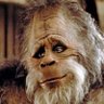 The Intellectual Caveman 的头像