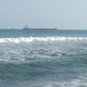 Former Sea Warrior 的头像