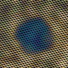 excess rest's profile picture