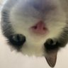 Profilbild von Matt