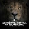 danijel svensson's profile picture
