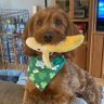 Ellen's profile picture