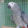 Фото профиля Med Abi