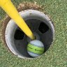 Avid Golfer, Sports Fan's profile picture