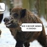Фин НКВД's profile picture