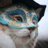 H Bosch profil fotoğrafı