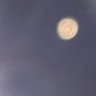 😶🌫️'s profile picture