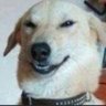 PAPIBAQUIGRAFO's profile picture