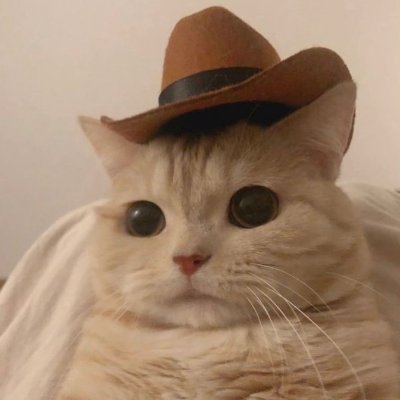 mitsuo's profile picture