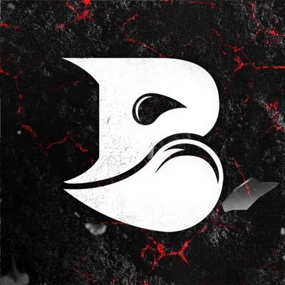 BLEED Esports's profile picture