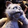 Andrew Southwold's profile picture
