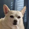 Martha's profile picture