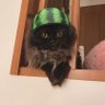 Profilbild von Q りりりQ
