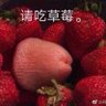 Profilbild von 和出生傻逼对线