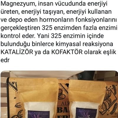 mustafa uzunoğlu's profile picture