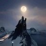 Lonewolf 的头像