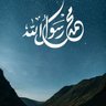 ابوعبدالرحمن المصري 的头像