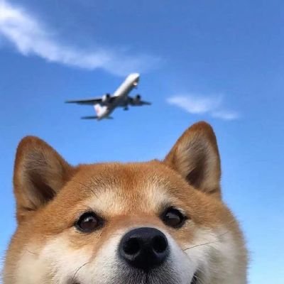 SlaveYuxiaopeng's profile picture