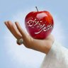 علیرضا محمودی's profile picture