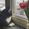 Sara X profil fotoğrafı