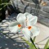 Фото профиля Marta Dobal