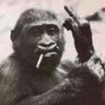 Фото профиля MonKeyNoFucK