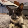 Peter Weird's profile picture