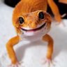 Brenna's profile picture