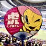 ココ's profile picture
