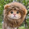 G.p's profile picture